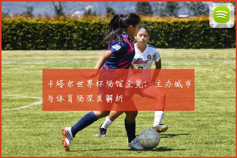卡塔尔世界杯场馆全览：主办城市与体育场深度解析