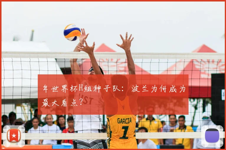 年世界杯H组种子队：波兰为何成为最大看点？