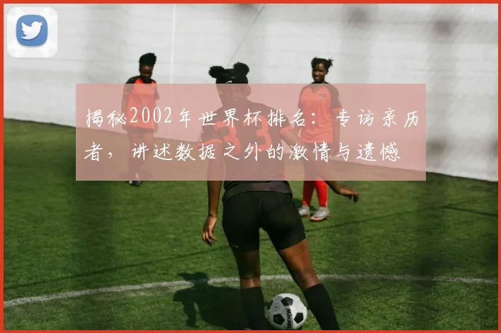 揭秘2002年世界杯排名：专访亲历者，讲述数据之外的激情与遗憾