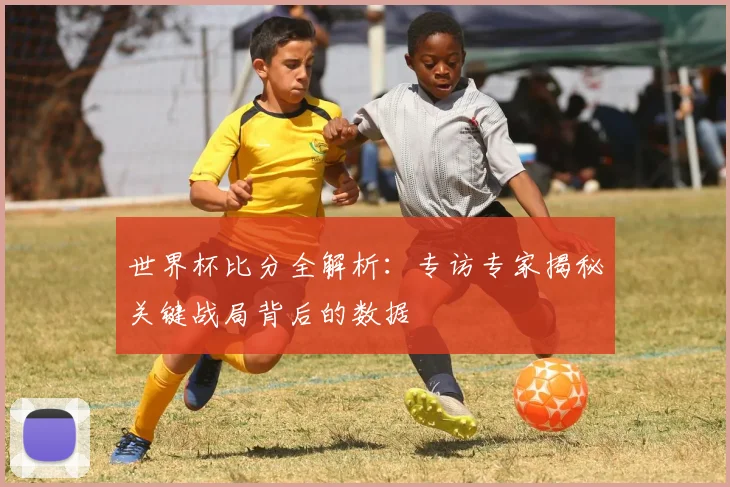 世界杯比分全解析:专访专家揭秘关键战局背后的数据