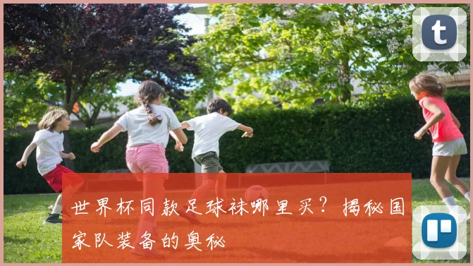 世界杯同款足球袜哪里买？揭秘国家队装备的奥秘