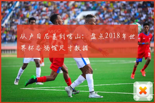 从卢日尼基到喀山：盘点2018年世界杯各场馆尺寸数据