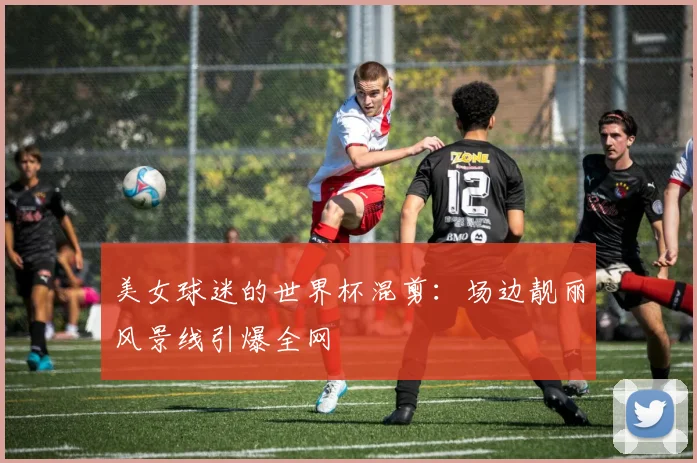 美女球迷的世界杯混剪：场边靓丽风景线引爆全网