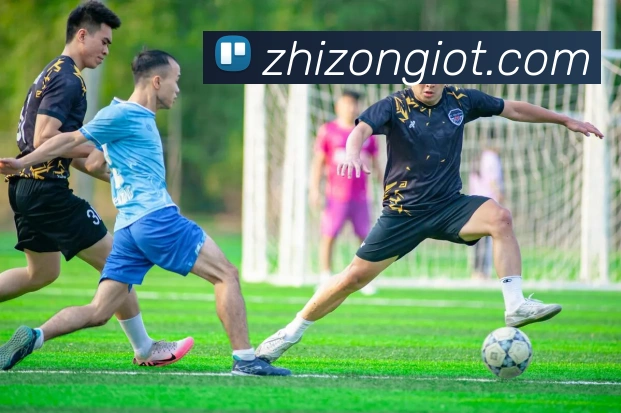 爱体育电子官网登录APP 封面图